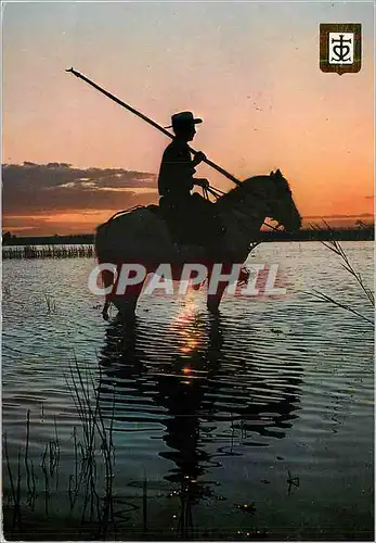 Moderne Karte Lumiere et Couleurs de la Cote Camargue Gardien a la fin du Jour Cheval