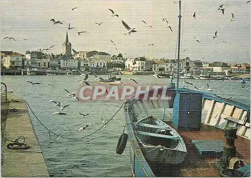 Cartes postales moderne Les Sables d'Olonne La Chaume