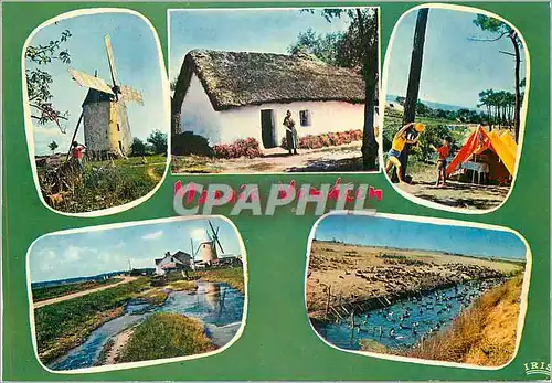 Cartes postales moderne Moulin de Sainte Catherine Marais Vendeens XVe Siecle