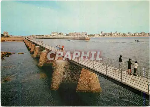 Cartes postales moderne Les Sables d'Olonne (Vendee) Perle de la Cote de Lumiere La Chaume
