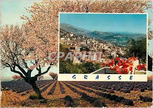 Cartes postales moderne Grasse Cote d'Azur Carrefour Mondial du Tourisme