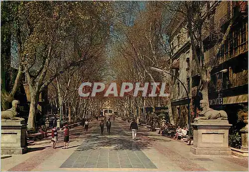 Cartes postales moderne Mallorca (Baleares) Espana Palma Paseo del Generalisimo