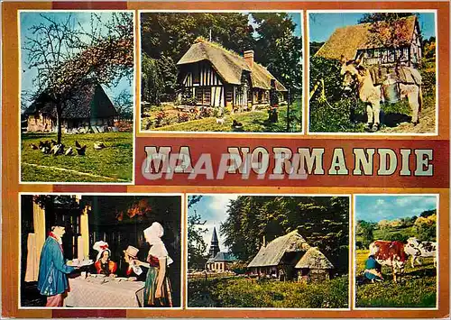 Cartes postales moderne Normandie Charmes et Couleurs d'une Provence Heureuse Folklore Ane Donkey