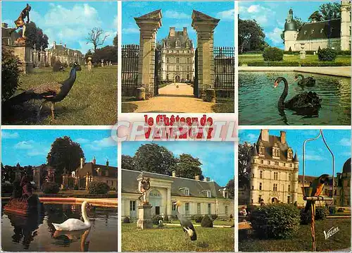 Cartes postales moderne Chateau de Valencay (Indre) Les Merveilles du Val de Loire (XVIe et XVIe Siecles) Cygnes Perroqu