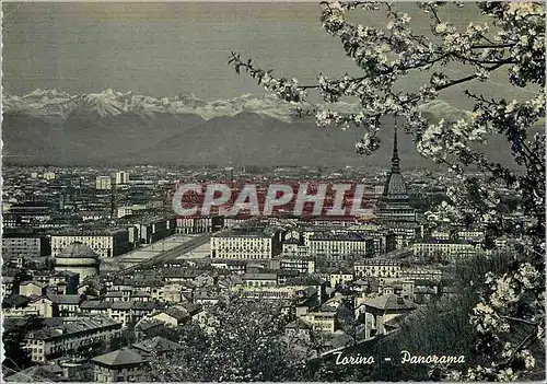 Cartes postales moderne Torino Panorama
