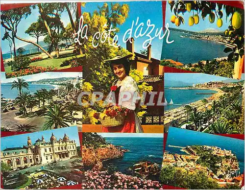 Cartes postales moderne La Cote d'Azur Couleurs et Lumiere de France Miracle de la Nature