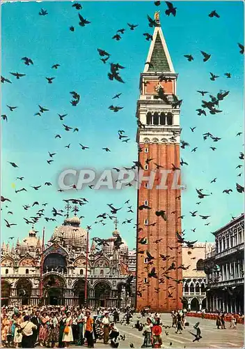 Cartes postales moderne Venezia Vol de Pigeons dans la Place S Marc