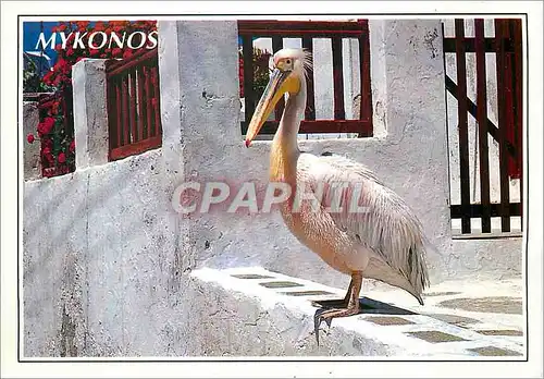 Moderne Karte Mykonos Grece Pelican