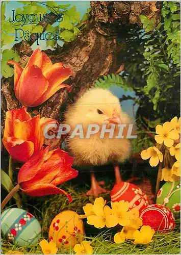 Cartes postales moderne Joyeuses P�ques Poussin