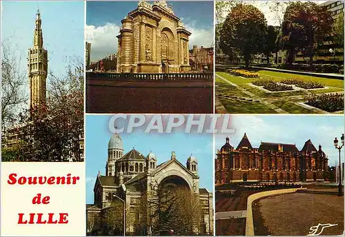 Cartes postales moderne Souvenir de Lille (Nord) La porte de Paris Les jardins de l'hotel de ville L'eglise Saint Sauveu