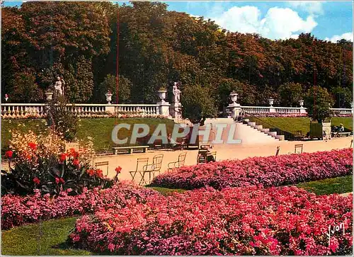 Cartes postales moderne Paris Couleurs et Lumiere de France Jardin et Terrasse du Palais du Luxembourg
