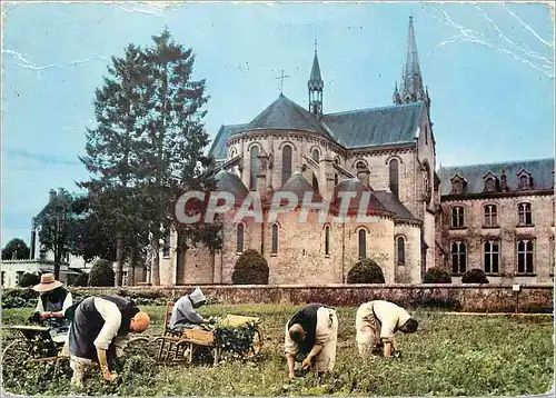 Moderne Karte Soligny la Trappe (Orne) Abbaye de la Grande Trappe Jardinage