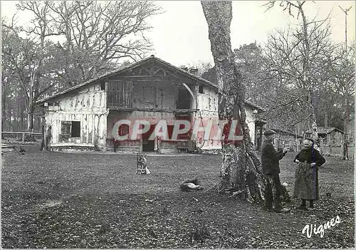 Cartes postales moderne Types de Maison Landaise
