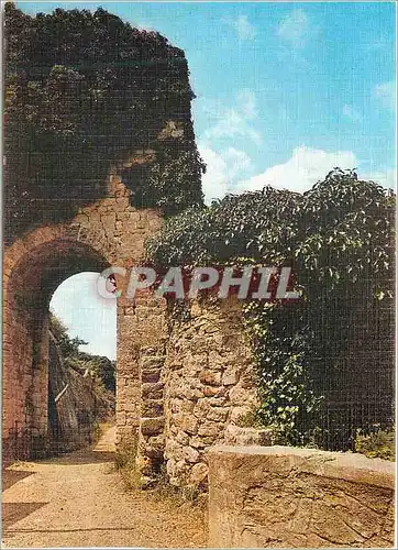 Cartes postales moderne Clermont l'Herault (Herault) Le Portail Naout