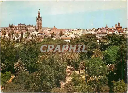 Moderne Karte Sevilla Vue Partielle Au Fond La Cathedrale
