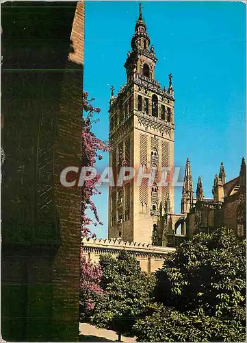 Cartes postales moderne Sevilla La Ciralda