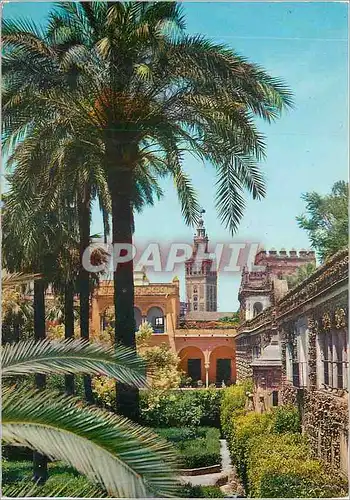 Cartes postales moderne Sevilla Jardin de Alcazar