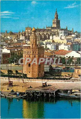 Cartes postales moderne Sevilla Vue Partielle