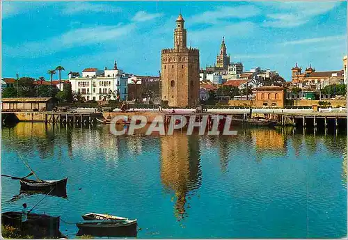 Cartes postales moderne Sevilla Tour del Or