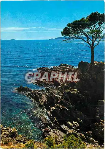 Moderne Karte La Mediteranee Bord de Mer