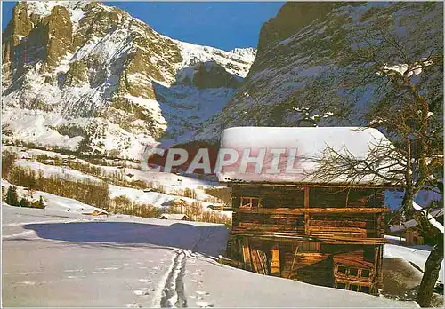 Cartes postales moderne Chalet