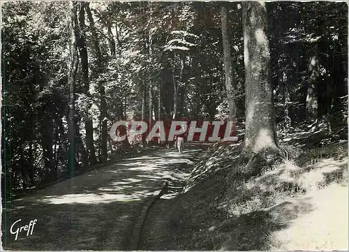 Moderne Karte Bagnoles de l'Orne (Orne) En Normandie Dans le Parc Allee du Dante