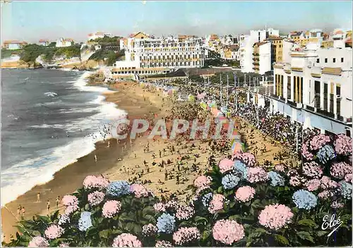 Cartes postales moderne Biarritz (Pyrenees Atlantiques)