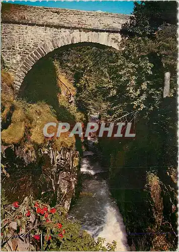 Cartes postales moderne Cauterets (H P) Le Pont d'Espagne Alt 1500 m