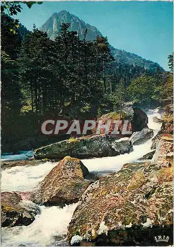 Cartes postales moderne Cauterets Les Pyrenees Ses Montagnes ses Bois ses Cascades