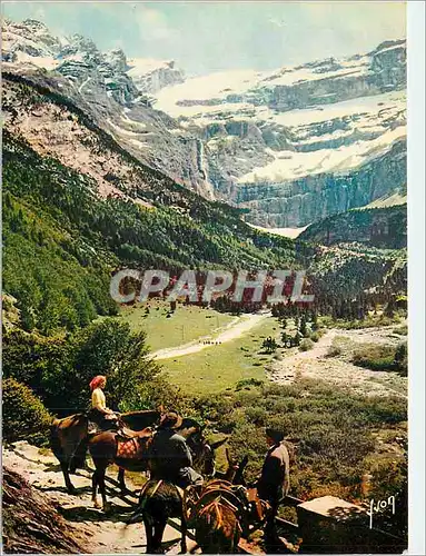Cartes postales moderne Cirque de Gavarnie Les Pyrenees Couleurs et Lumiere de France Site Grandiose sur la Route Chevau