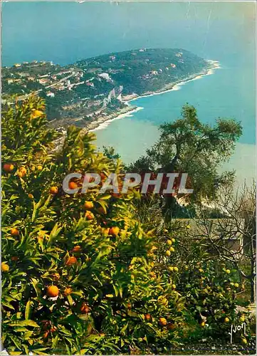 Moderne Karte Le Cap Martin (Alpes Maritimes) La Cote d'Azur Couleurs et Lumiere de France Miracle de la Natur