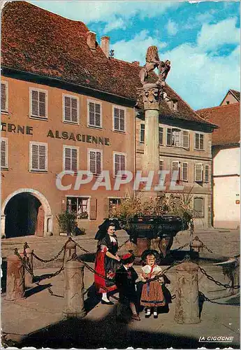 Cartes postales moderne L'Alsace Pittoreque Vieux Fontaine a Malsheim Folklore