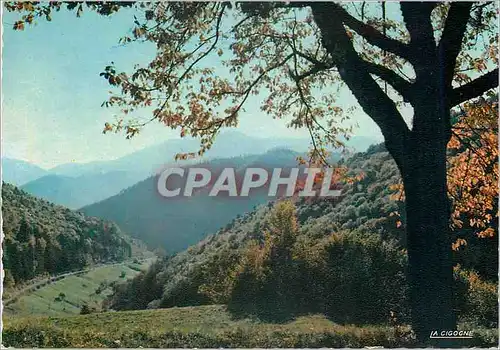 Cartes postales moderne Les Vosges Pittoreques La Route des Cretes