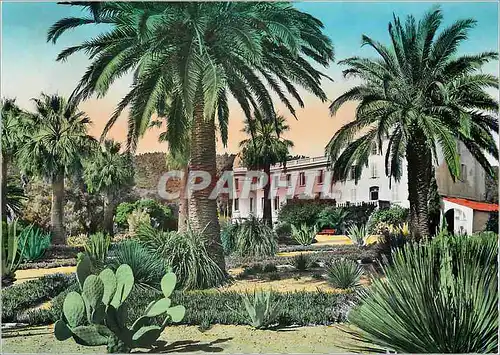 Cartes postales moderne La Corniche des Maures Cavalaire sur Mer (Var) Hotel Pardigon