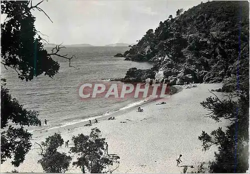 Cartes postales moderne La Corniche des Maures Cavalaire sur Mer (Var) Plage de Bon Porteau