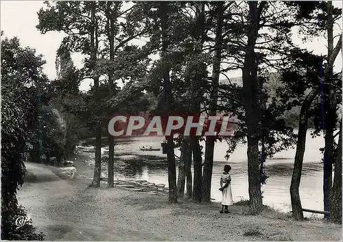 Cartes postales moderne L'Auvergne Gour de Tazenat