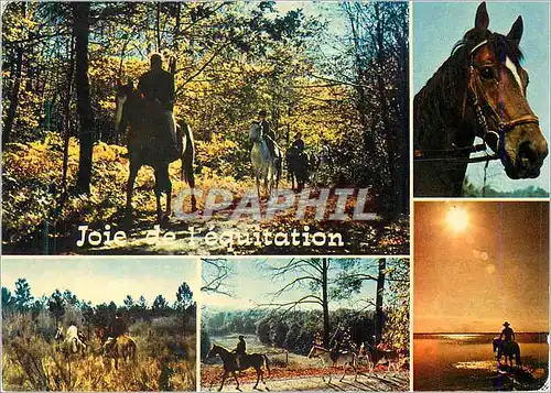 Cartes postales moderne Promenade Equestres Joie de l'Equitation Cheval