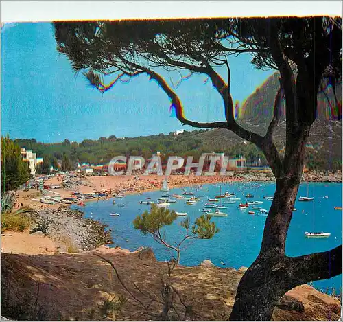 Cartes postales moderne Costa Brava la Escala