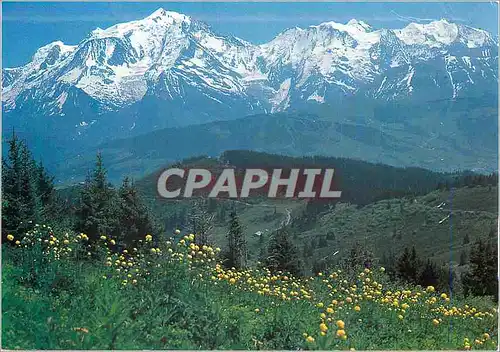 Cartes postales moderne La Chaine du Mont Blanc