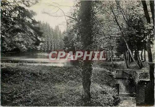 Cartes postales moderne Saint Evroult Notre Dame du Bois (Orne)