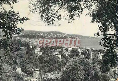 Cartes postales moderne Nice Vue prise de Ballet entre les Oliviers