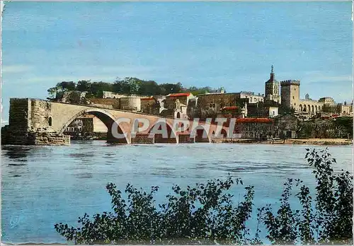 Cartes postales moderne Avignon Bords du Rhone et Pont Saint Benezet