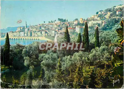 Cartes postales moderne Menton (Alpes Maritimes) La Cote d'Azur Couleurs et Lumiere de France Miracle de la nature la Vi