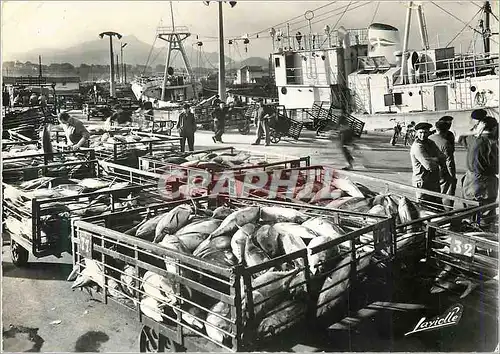 Moderne Karte St Jean de Luz Dechargement des Thons A quai Le Sopite Bateaux Peche