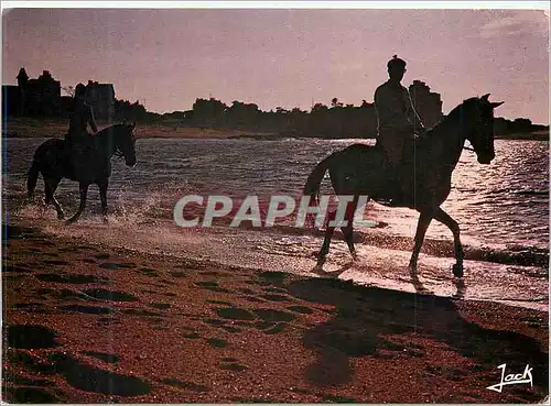 Cartes postales moderne Couleurs de Bretagne Promenade Equestre au Soleil Couchant Chevaux