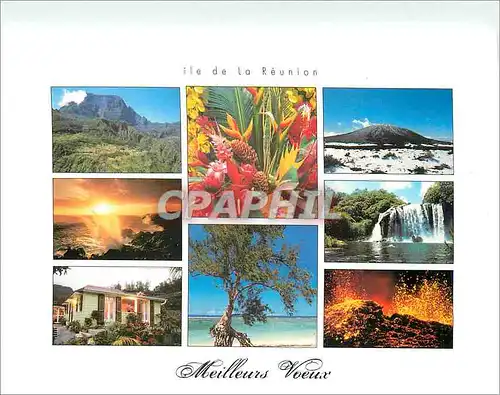 Cartes postales moderne Meilleurs Voeux