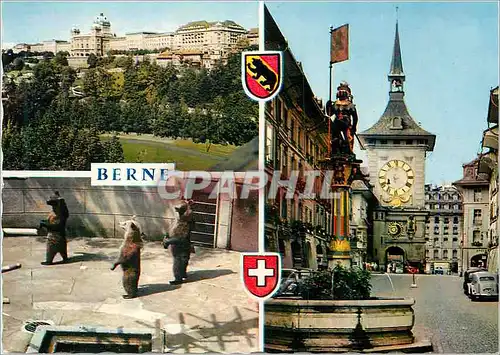 Cartes postales moderne Berne Ours Zoo