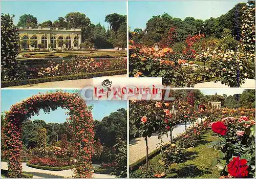 Cartes postales moderne Paris Bagatelle La Roseraie L'Orangerie