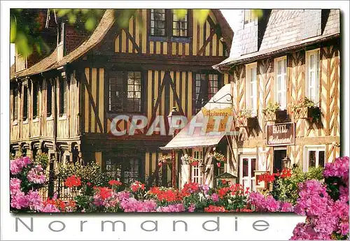 Cartes postales moderne En Normandie Auberge de la Boule d'Or Hotel Restaurant