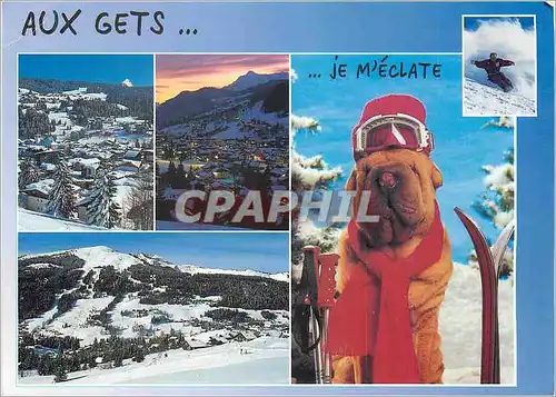 Moderne Karte Les Gets Haute Savoie France Ski Chien